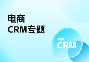 电商CRM